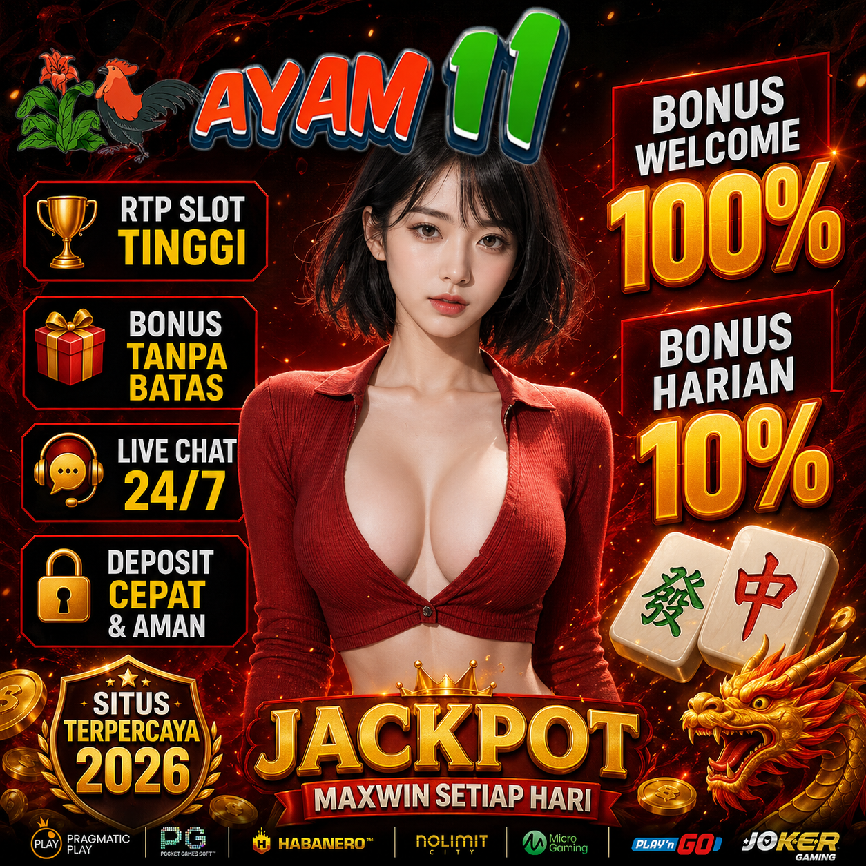 AYAM11